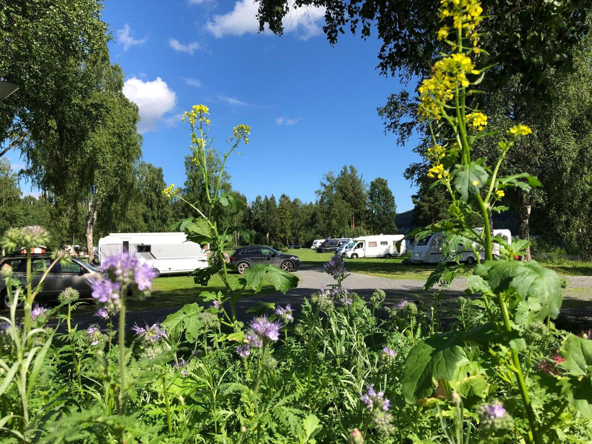 2 Persoons Stuga Hammarstrand المظهر الخارجي الصورة